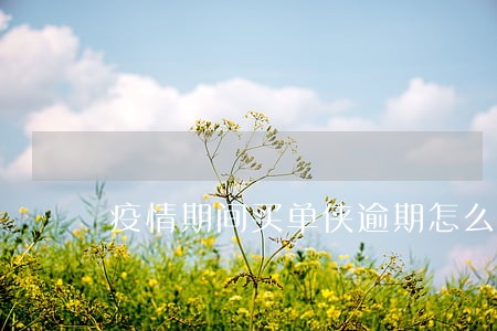 疫情期间买单侠逾期怎么办