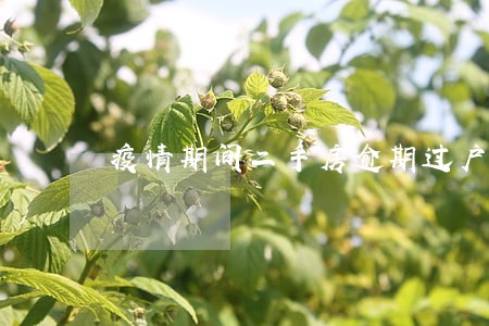 疫情期间二手房逾期过户 疫情期间二手房逾期过户