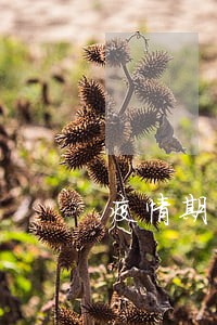 疫情期间交了上诉费说是逾期 疫情期间交了上诉费说是逾期
