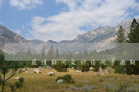 疫情期间交行信用卡逾期 疫情期间交行信用卡逾期