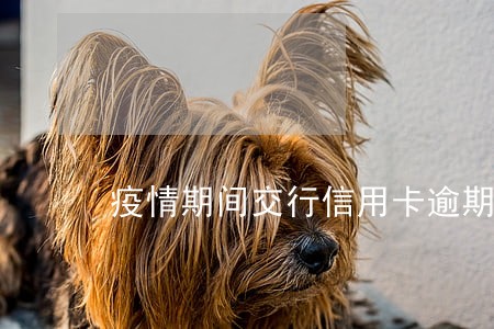 疫情期间交行信用卡逾期了20天