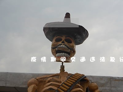 疫情期间交通违法复议