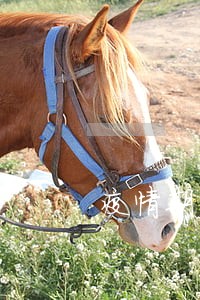 疫情期间交通违法滞纳金 疫情期间交通违法滞纳金