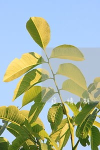 疫情期间产生信用逾期