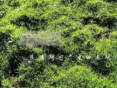 疫情期间产生的逾期不算 疫情期间产生的逾期不算