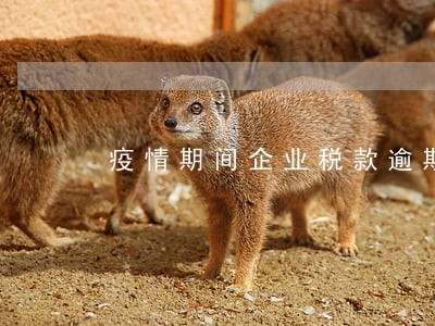 疫情期间企业税款逾期