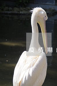 疫情期间企业银票逾期上征信吗 疫情期间企业银票逾期上征信吗