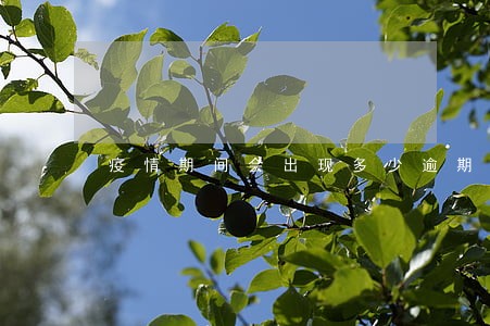 疫情期间会出现多少逾期 疫情期间会出现多少逾期