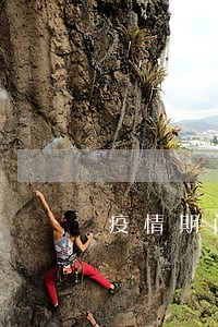 疫情期间信保订单逾期 疫情期间信保订单逾期