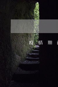疫情期间信用卡会逾期