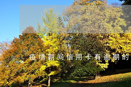 疫情期间信用卡有逾期的不 疫情期间信用卡有逾期的不