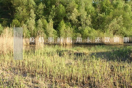疫情期间信用卡还款逾期怎么办