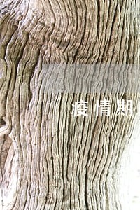 疫情期间信用卡逾期13天 疫情期间信用卡逾期13天