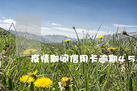 疫情期间信用卡逾期45万 疫情期间信用卡逾期45万