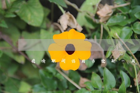 疫情期间信用卡逾期一周 疫情期间信用卡逾期一周