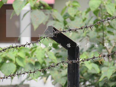 疫情期间信用卡逾期一月严重吗 疫情期间信用卡逾期一月严重吗