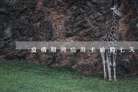 疫情期间信用卡逾期七天上征信吗 疫情期间信用卡逾期七天上征信吗