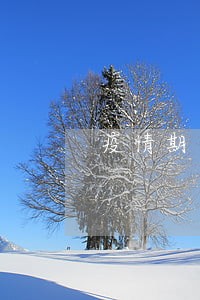 疫情期间信用卡逾期上报信息库