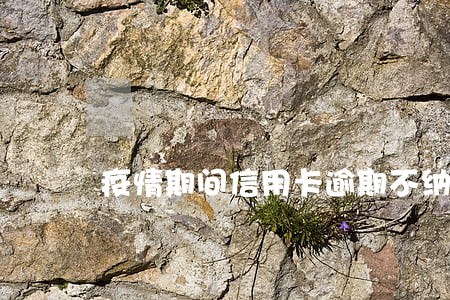 疫情期间信用卡逾期不纳入征信 疫情期间信用卡逾期不纳入征信