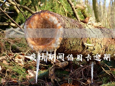 疫情期间信用卡逾期了怎么申诉