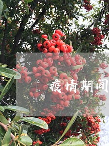 疫情期间信用卡逾期五万 疫情期间信用卡逾期五万