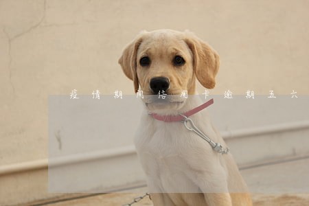 疫情期间信用卡逾期五六张了