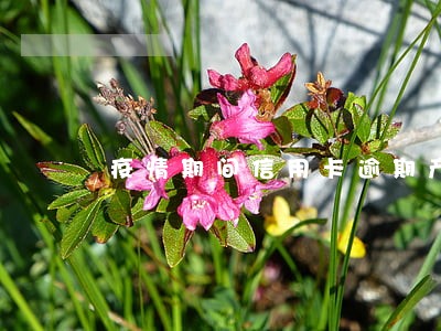 疫情期间信用卡逾期产生费用吗 疫情期间信用卡逾期产生费用吗