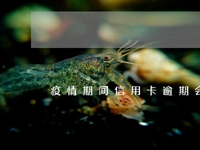 疫情期间信用卡逾期会不会影响 疫情期间信用卡逾期会不会影响
