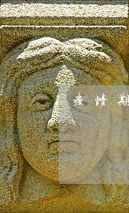 疫情期间信用卡逾期冻卡