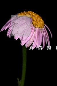 疫情期间信用卡逾期减免政策 疫情期间信用卡逾期减免政策