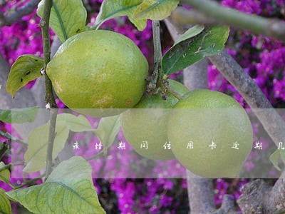 疫情期间信用卡逾期几天