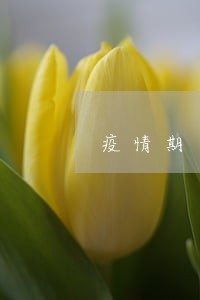 疫情期间信用卡逾期封卡 疫情期间信用卡逾期封卡