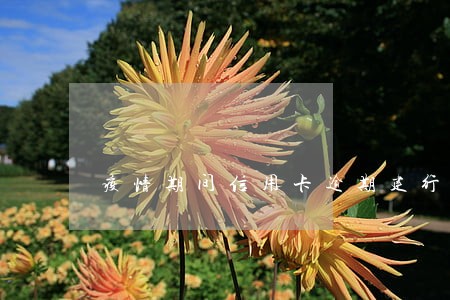 疫情期间信用卡逾期建行