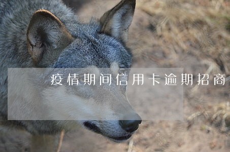 疫情期间信用卡逾期招商银行