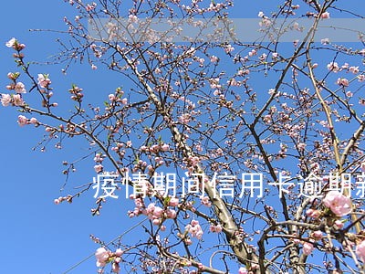 疫情期间信用卡逾期新规定 疫情期间信用卡逾期新规定