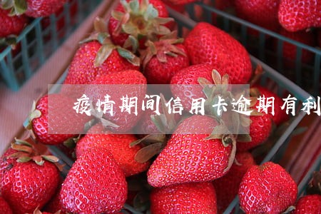疫情期间信用卡逾期有利息吗