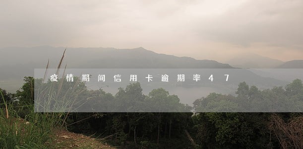 疫情期间信用卡逾期率47