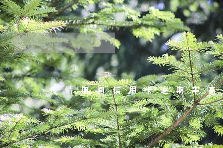 疫情期间信用卡逾期率高吗 疫情期间信用卡逾期率高吗