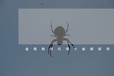 疫情期间信用卡逾期能消除吗