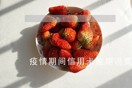 疫情期间信用卡逾期说要报警