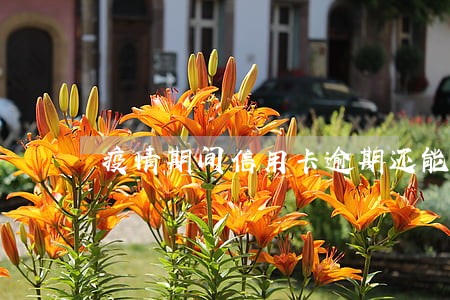 疫情期间信用卡逾期还能恢复吗
