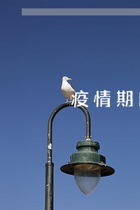 疫情期间信用逾期总额
