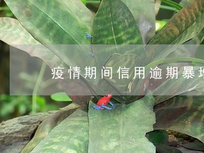 疫情期间信用逾期暴增 疫情期间信用逾期暴增