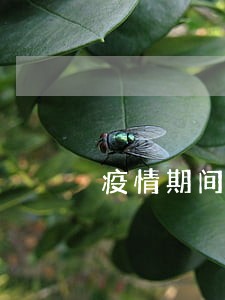 疫情期间信誉卡有没有逾期
