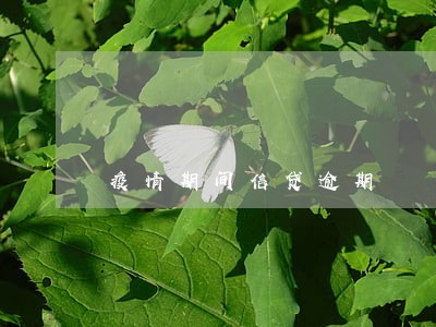 疫情期间信贷逾期 疫情期间信贷逾期
