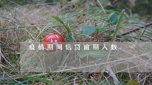 疫情期间信贷逾期人数 疫情期间信贷逾期人数