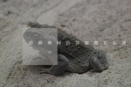 疫情期间信贷逾期怎么处理 疫情期间信贷逾期怎么处理