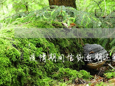 疫情期间信贷逾期还款 疫情期间信贷逾期还款
