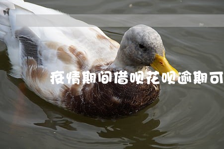 疫情期间借呗花呗逾期可以吗 疫情期间借呗花呗逾期可以吗