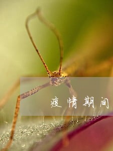 疫情期间借呗花呗逾期怎么办 疫情期间借呗花呗逾期怎么办